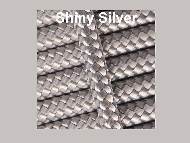 Shiny Silver