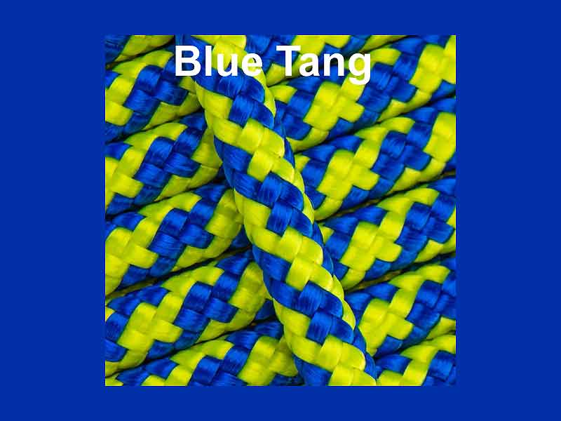 Blue Tang